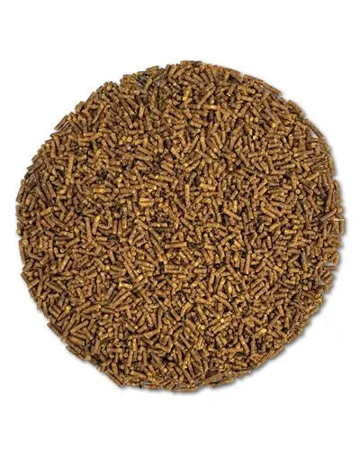 Small, round Roudybush Daily Maintenance Mini pellets in a 22oz bag, specially formulated for pet birds like Cockatiels.
