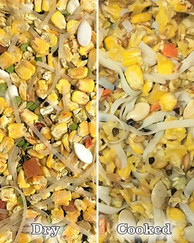 Vibrant mix of rolled corn, split green peas, pumpkin seeds, and colorful veggies in Crazy For Corn Yum Fu Delight bird food.