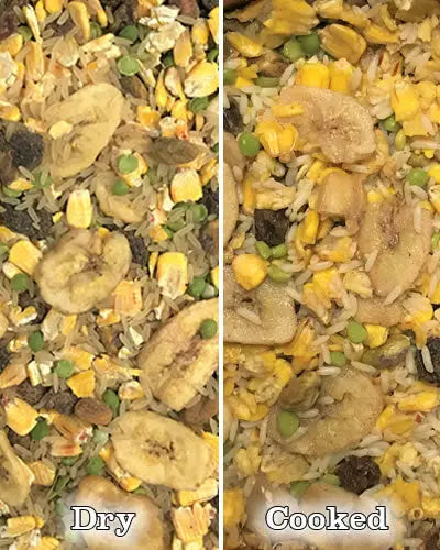 Vibrant mix of Tropical Rice Pudding with rice, corn, peas, raisins, banana chips, dates, pistachios, and warm spices.