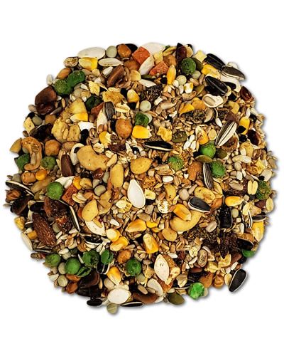 Vibrant mix of 20lb World's Best Parrot Legume blend with colorful nuts, seeds, and dried fruits for exotic birds.