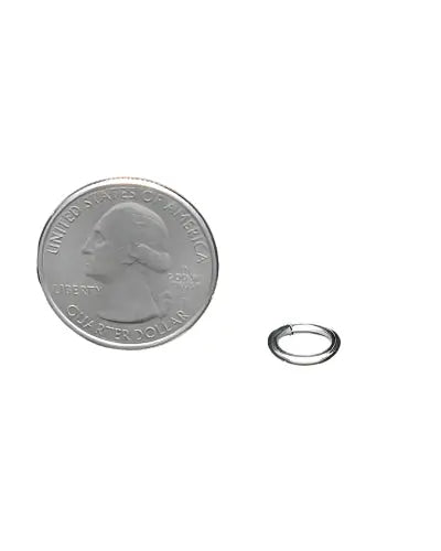 Close-up of a 1/4" split ring, a small, durable metal hardware piece for bird toys, showcasing its 3/8" diameter and shiny finish.