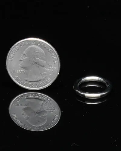 Shiny 1/2" split ring hardware for bird toys, measuring 11/16" in diameter with a sleek, durable metal finish.