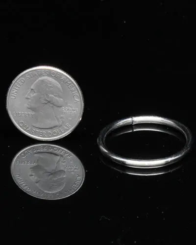 Shiny 1-inch split ring with a 1/8-inch height, perfect as durable hardware for crafting bird toys.