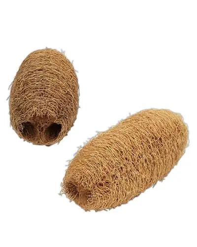 Natural whole luffa sponge, a textured bird toy part, measuring 5 to 6 inches long with a 2.5-inch diameter.