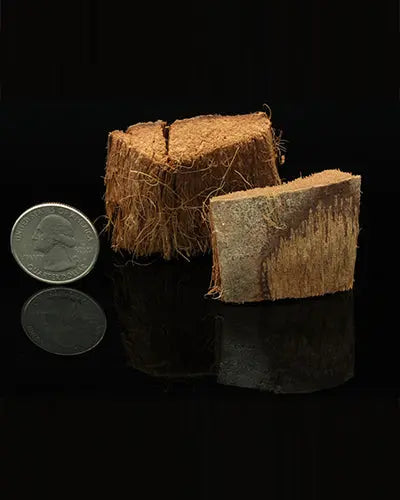 Crunchy coconut bark pieces in a 5-pack, showcasing natural textures and earthy tones, perfect for crafting or pet toys.