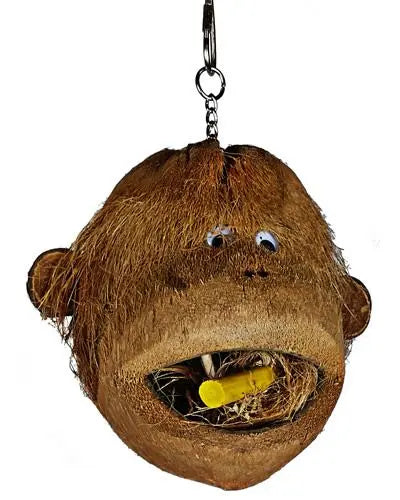 Charming Coco Monkey Java Wood bird toy with a carved coconut monkey face, stuffed with java wood foot toys for play.