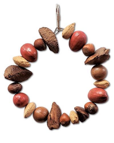 Vibrant ring toy featuring a mix of almonds, hazelnuts, and other nuts, perfect for medium to large birds to enjoy.