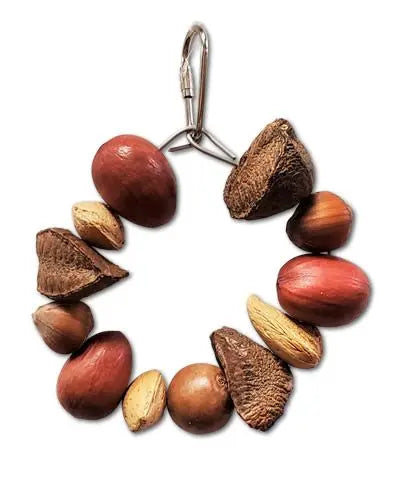 Vibrant ring toy with a mix of almonds, hazelnuts, and pecans, designed as a tasty treat for medium to large birds.