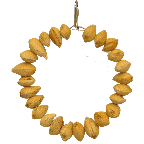 Colorful Happy Beaks Almond Ring toy with almonds embedded, a 6-inch treat designed for medium to large birds to enjoy.