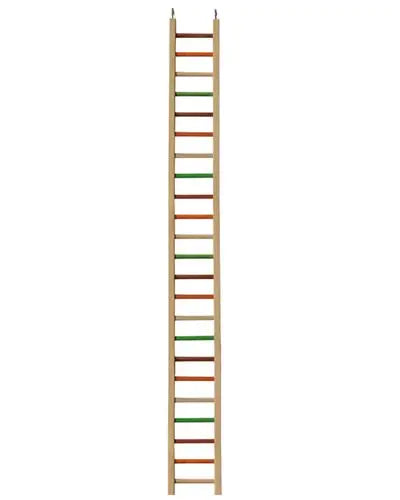 Colorful 49" bird ladder with sturdy steps, perfect for small birds to climb, play, and stay active in their cage.