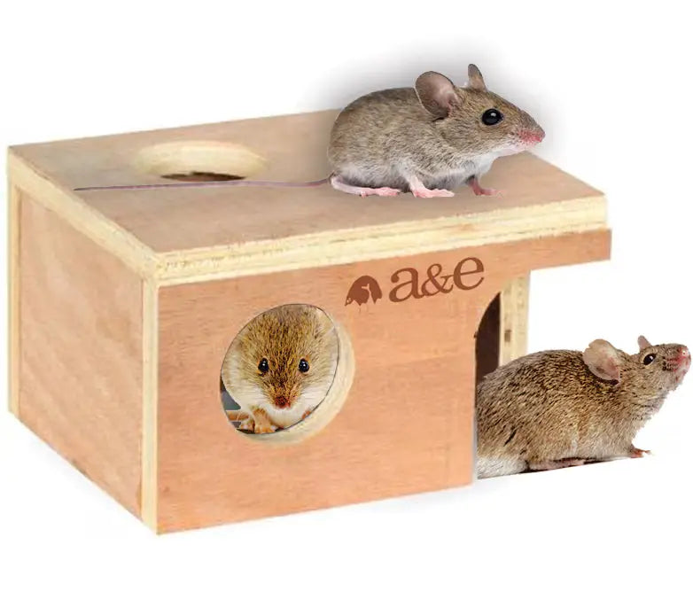Small Mouse Hut A&E Cage Co