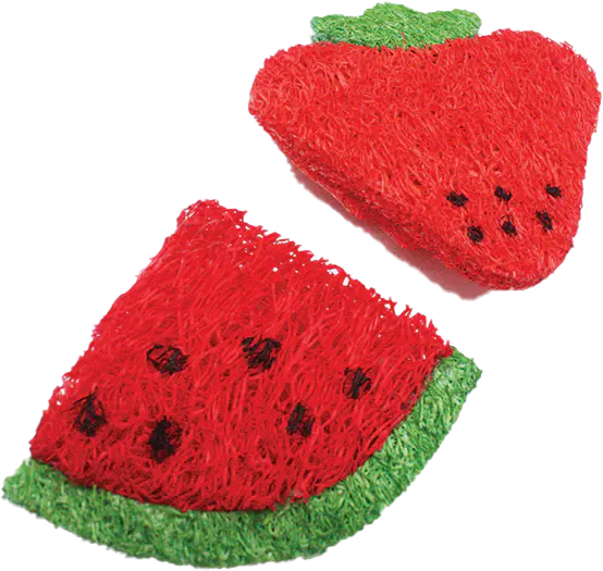 Loofah Strawberry and Watermelon Slice A&E Cage Co