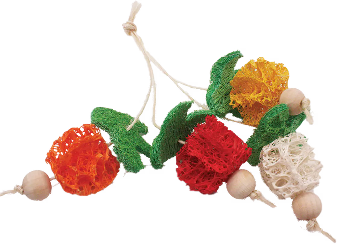 Loofah Bunch of Fruits A&E Cage Co
