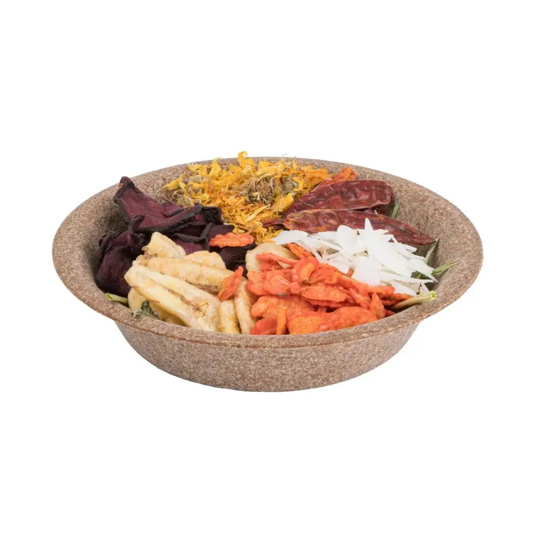 Vita Herbal Edible Lunch Box - COCONUT A&E Cage Co