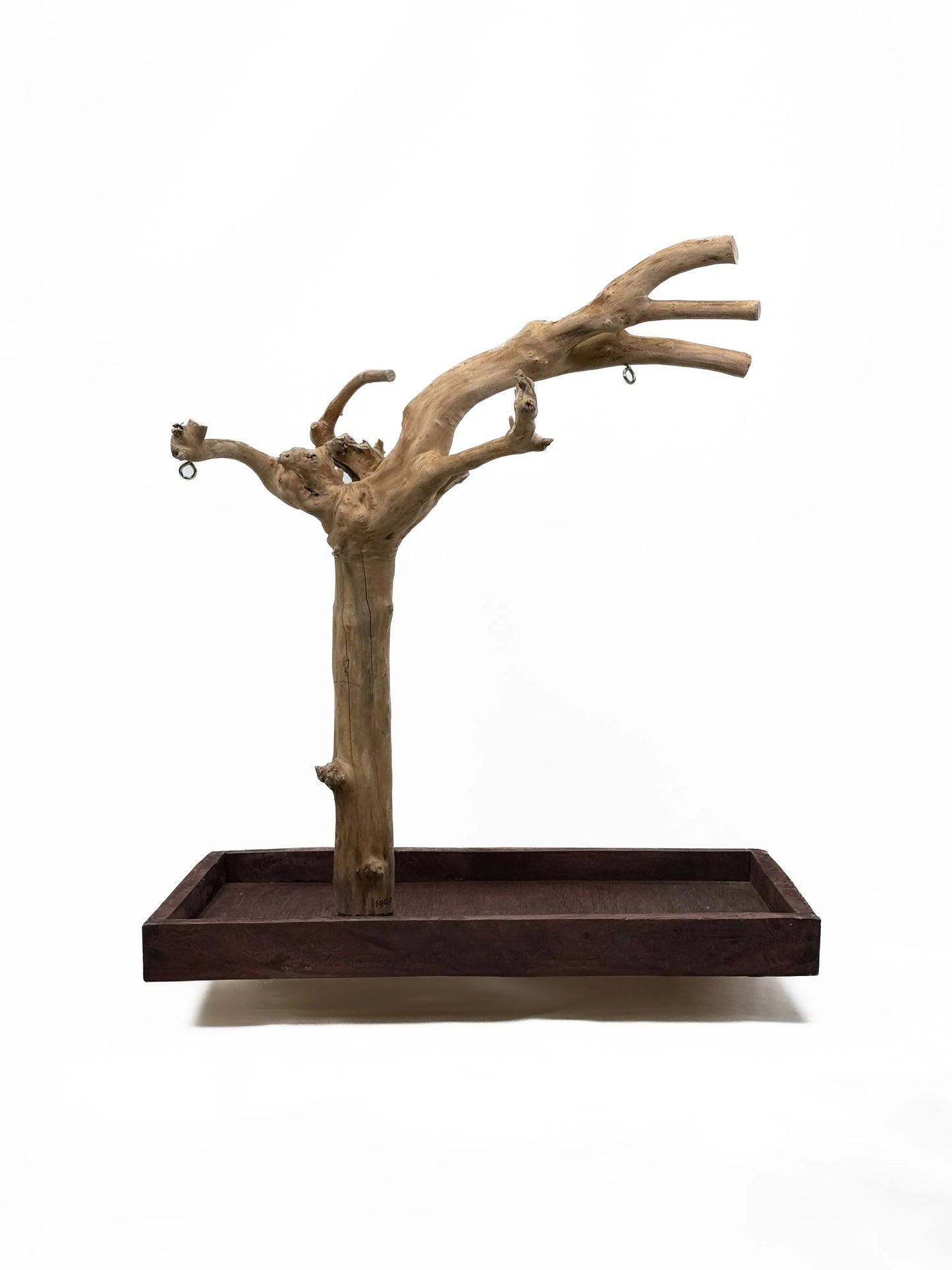 Natural Java Coffee Tree play stand for small to medium birds, showcasing a sturdy 25-inch tall eco-friendly design.