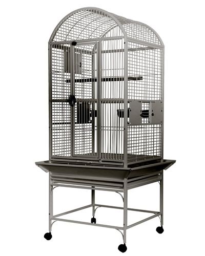 Gleaming stainless steel A&E bird cage with a dome top, measuring 24x22 inches, featuring feeder cups and a sturdy perch.