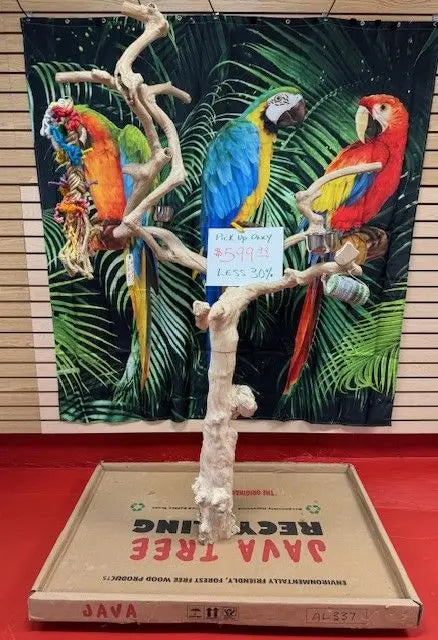 Natural Java Tree Bird Stand with anti-slip perch, toy hooks, and stainless steel bowls, ideal for large parrots.