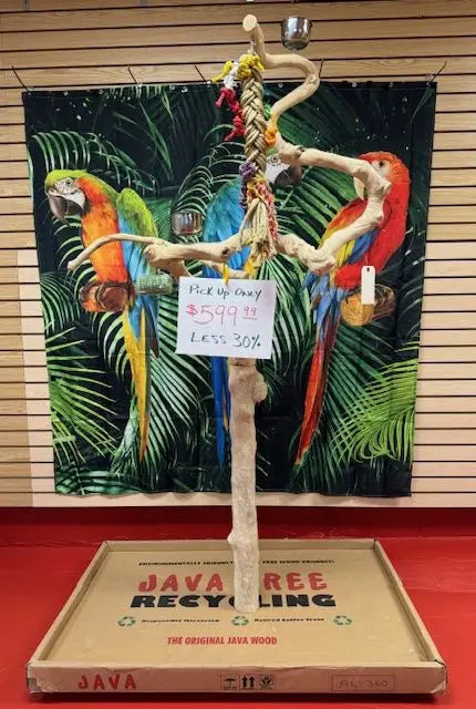Natural Java Tree Bird Stand with anti-slip perch, toy hooks, and steel bowls, perfect for medium to large exotic birds.