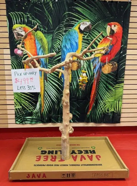 Natural Java Tree Bird Stand with anti-slip perch, toy hooks, and stainless steel bowls, ideal for medium to large birds.