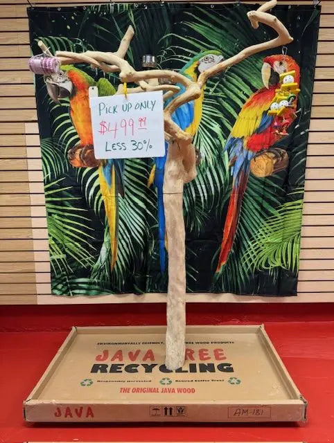 Natural Java Tree Bird Stand with anti-slip perch, toy hooks, and stainless steel bowls, ideal for medium to large birds.
