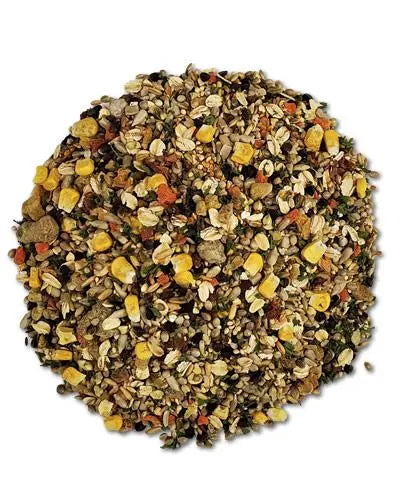 Vibrant mix of Small Hookbill Buffet bird food with colorful seeds, grains, and fruit granules for nutritious feeding.