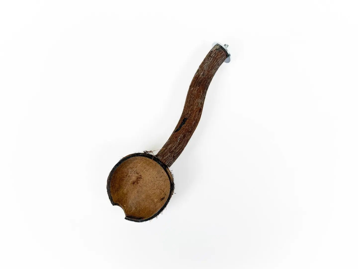 Natural coconut half cup with a wooden perch, ideal for small pets like sugar gliders and birds, attached to a cage.