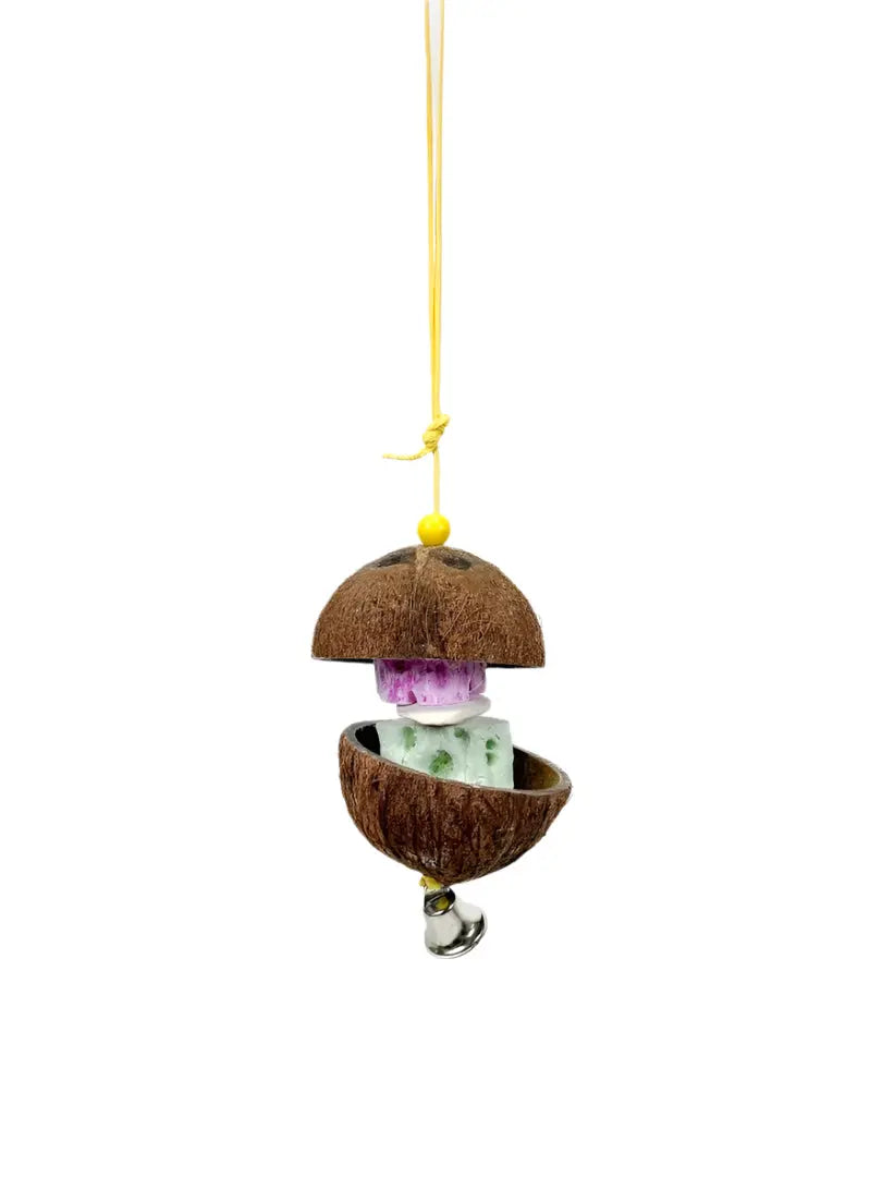 Polly's Coconut Hut Chew Toy for birds, featuring a natural coconut shell, rope, cuttlebone, and a shiny liberty bell.