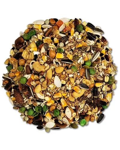 Vibrant mix of 10lb Parrot Legume blend with colorful nuts, seeds, dried fruits, and bee pollen for a nutritious bird treat.
