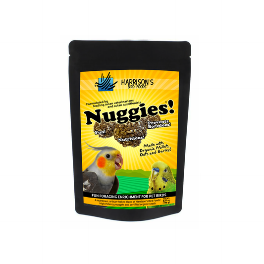 Golden, crispy Nuggies fresh out of the oven, showcasing a perfect crunch and irresistible texture on a white plate.