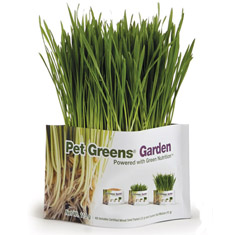 Organic Wheat Grass-Pet Greens Certified 