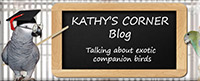 kathys corner link