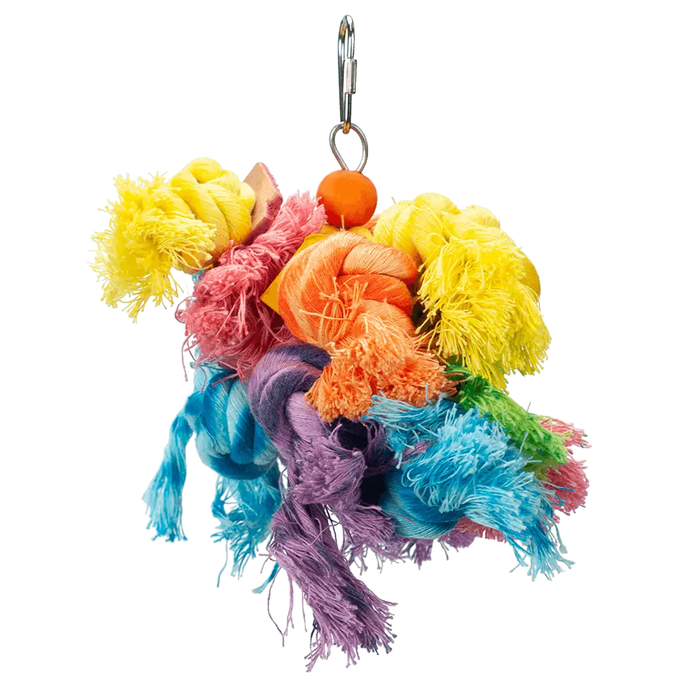 DIY Parrot Toys: Fun and Budget-Friendly Ideas for Parrot Enrichment MyBirdStore.com