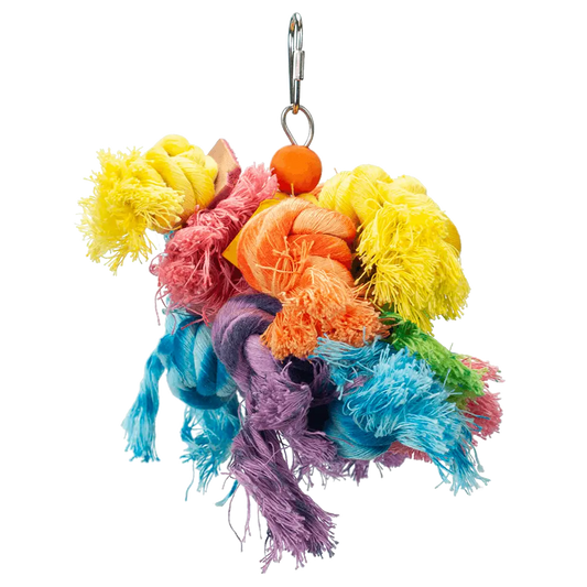 DIY Parrot Toys: Fun and Budget-Friendly Ideas for Parrot Enrichment MyBirdStore.com