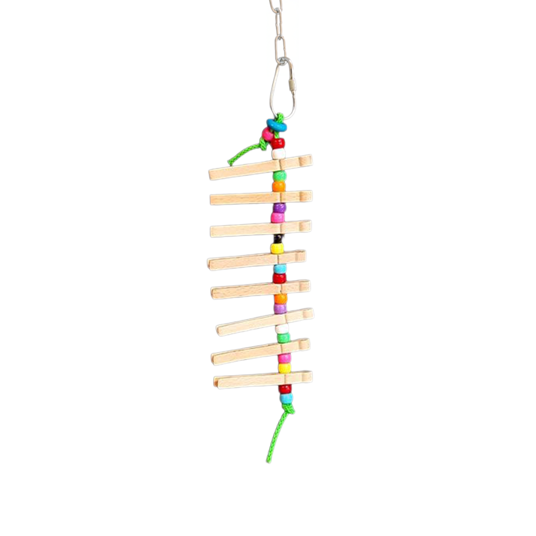 Colorful bird toy with plastic beads and cloth pins strung on polly rope, perfect for cockatiels and small parrots to enjoy.