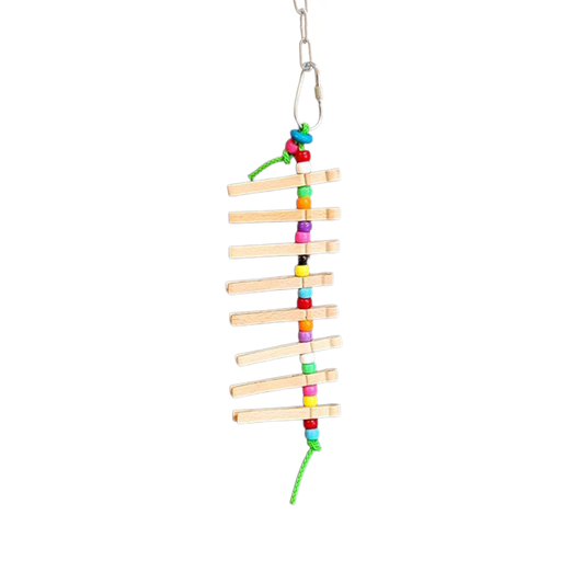 Colorful bird toy with plastic beads and cloth pins strung on polly rope, perfect for cockatiels and small parrots to enjoy.