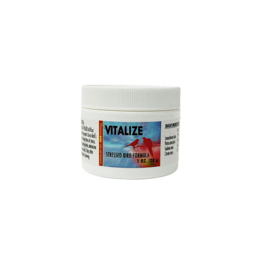 Vitalize - Morning Bird