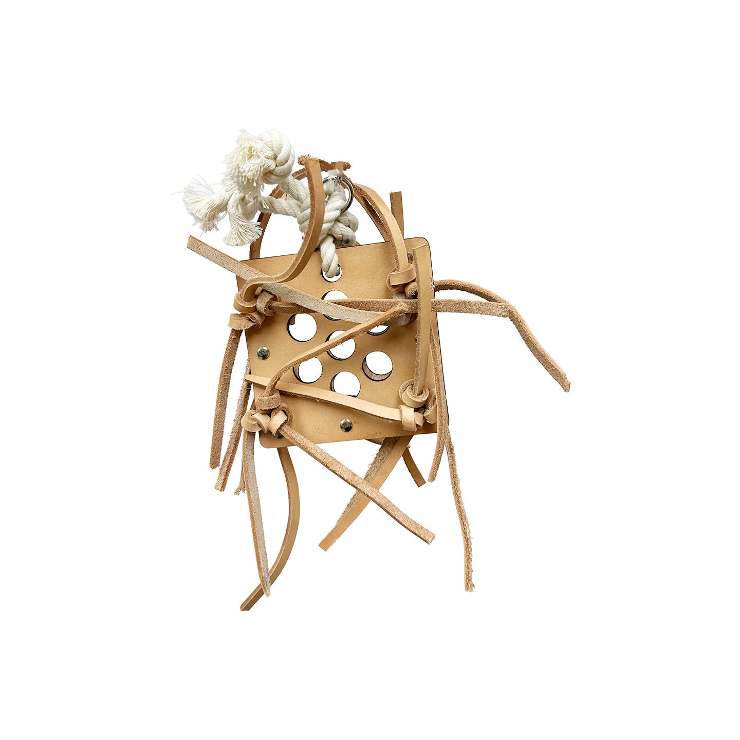 Go Go Large - Zoo Max