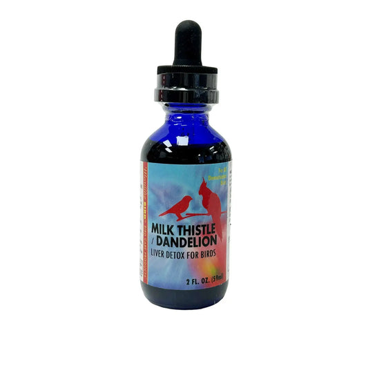 Milk Thistle / Dandelion - Morning Bird Morning Bird