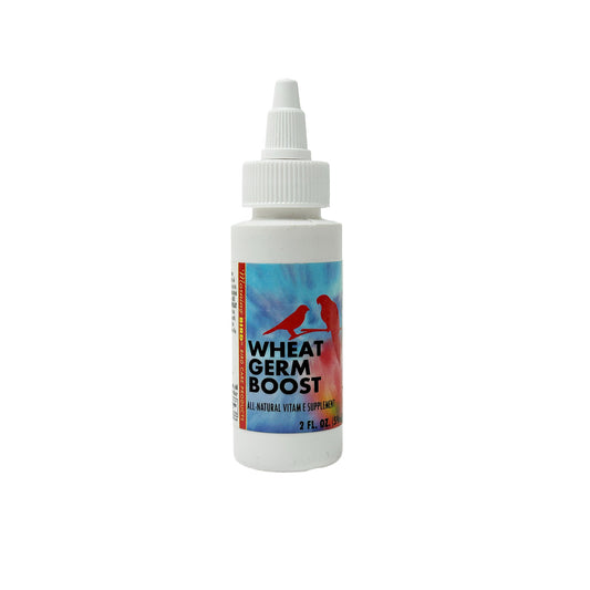 Wheat Germ Boost - Morning Bird
