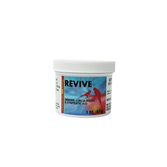 Revive - Morning Bird