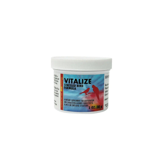 Vitalize - Morning Bird Morning Bird