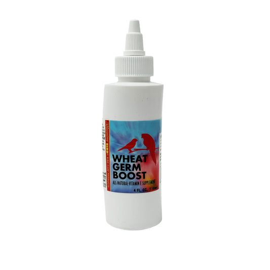 Wheat Germ Boost - Morning Bird
