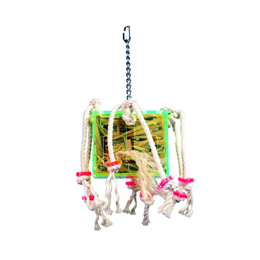 Colorful leather strips bursting from an acrylic foraging toy box, designed for small to medium birds to explore and play.