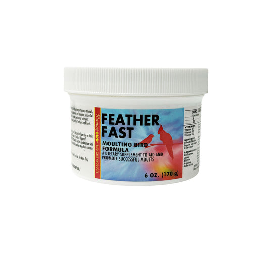 Feather Fast - Morning Bird