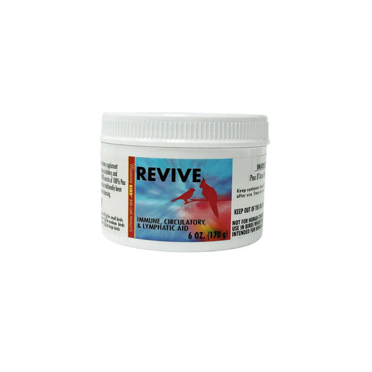Revive - Morning Bird Morning Bird