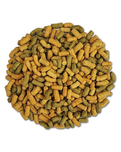 Vibrant Tropican Lifetime Parrot Sticks packed with grains, nuts, fruits, and veggies for a balanced large bird diet.