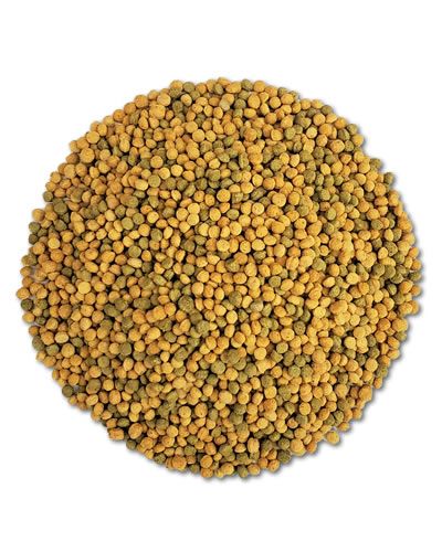 Colorful Hari Tropican Lifetime Parrot Granules in a neat pile, designed as a nutritious, balanced diet for pet birds.