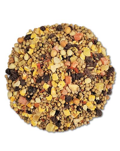 Vibrant mix of grains, nuts, fruits, and veggies in Hari TropiMix Small Parrot Mix, perfect for Conures and Quakers.