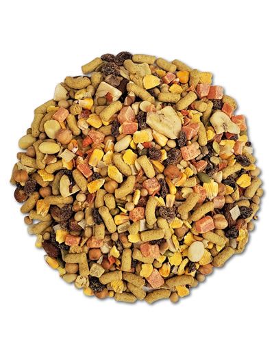 Vibrant mix of grains, nuts, fruits, and veggies in Hari TropiMix Large Parrot food, perfect for Macaws and Cockatoos.