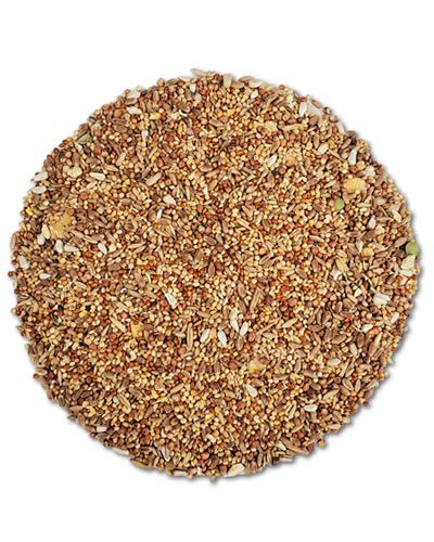 Vibrant mix of Hari Pigeon & Dove Seed, showcasing a colorful, polished blend of high-nutrition seeds for pet birds.